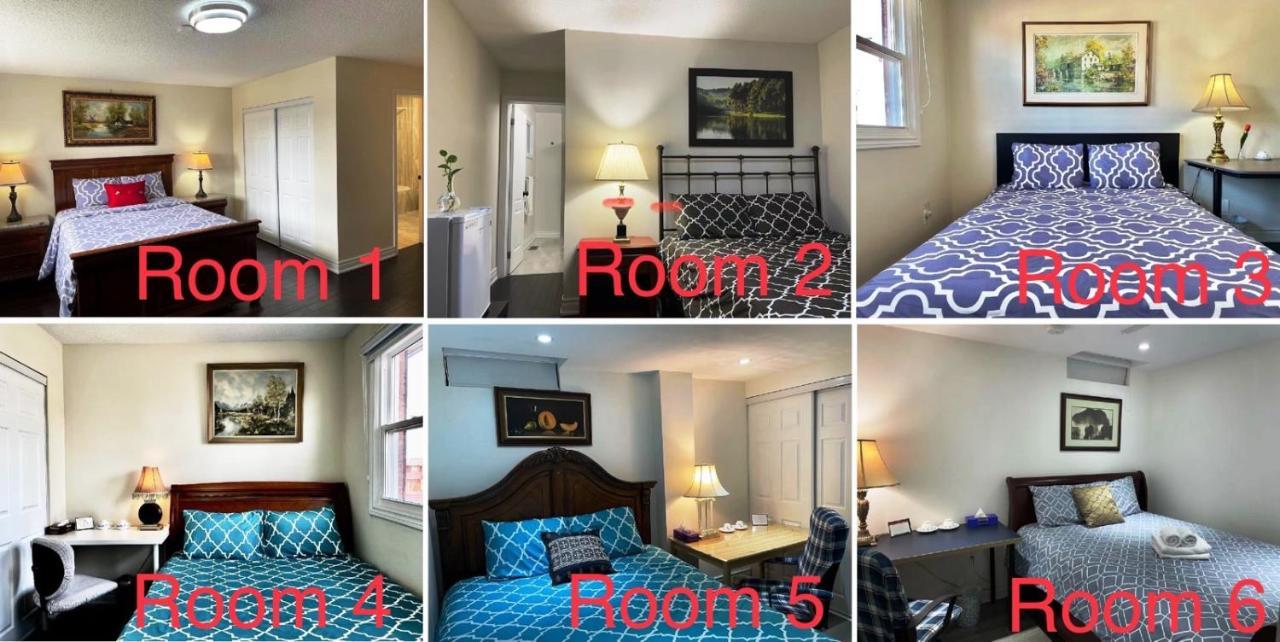 77 Nice And Warm Series Rooms Toronto Zewnętrze zdjęcie
